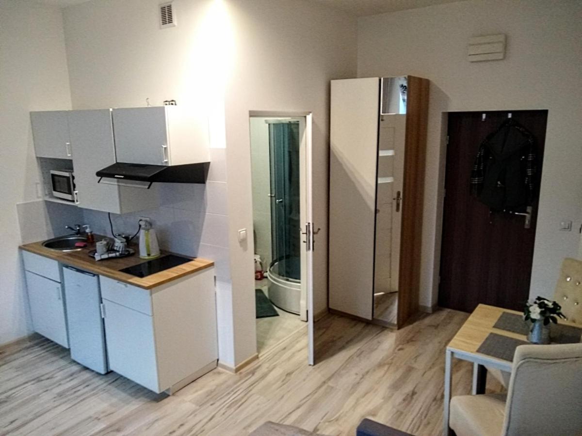 Apartament EvitaWitaGliwicka 700mGaleriaKatowice Zewnętrze zdjęcie
