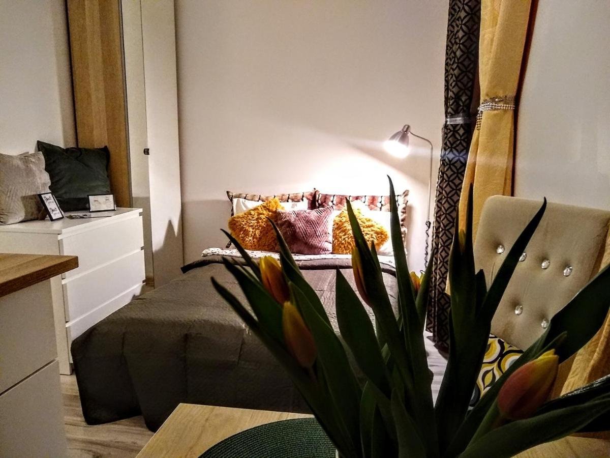 Apartament EvitaWitaGliwicka 700mGaleriaKatowice Zewnętrze zdjęcie
